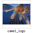 camel_logo.jpg