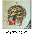 psychologie4.jpg
